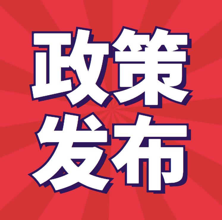 法治政府建設(shè)實(shí)施綱要（2021－2025年）根據(jù)當(dāng)前法治政府建設(shè)實(shí)際，制定本綱要